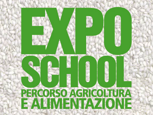 expo-school